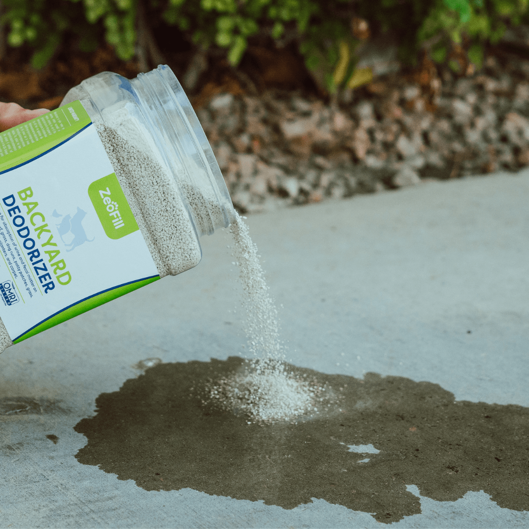 Backyard Deodorizer granules being poured over urine on concrete. 